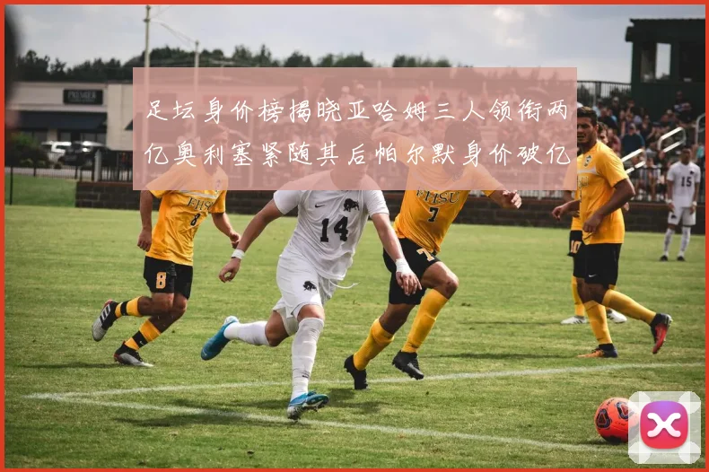 足坛身价榜揭晓亚哈姆三人领衔两亿奥利塞紧随其后帕尔默身价破亿